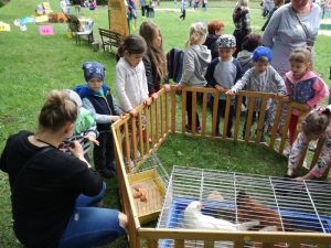 IMG_20180519_105112