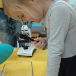 IMG_20181126_115308