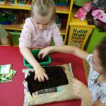 IMG_20190322_090003