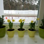 IMG_20190322_114927