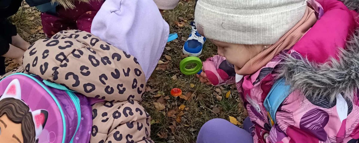 630e6bfd-9e96-42a7-ab52-14e5a90ed60f