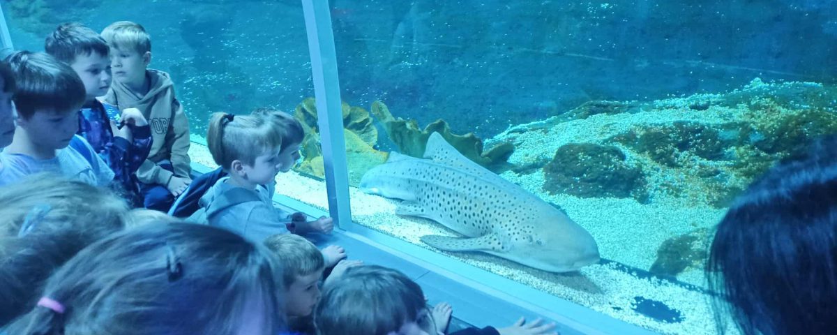 0b382c98-226c-4078-ac32-9df68392fbe5