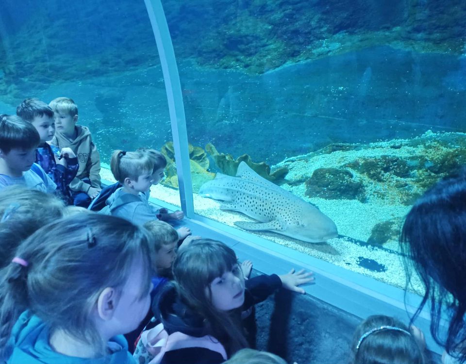 0b382c98-226c-4078-ac32-9df68392fbe5