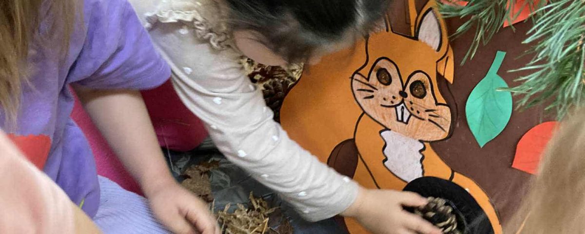 35b8f83c-a369-4af4-bcd0-da1067aa4d16