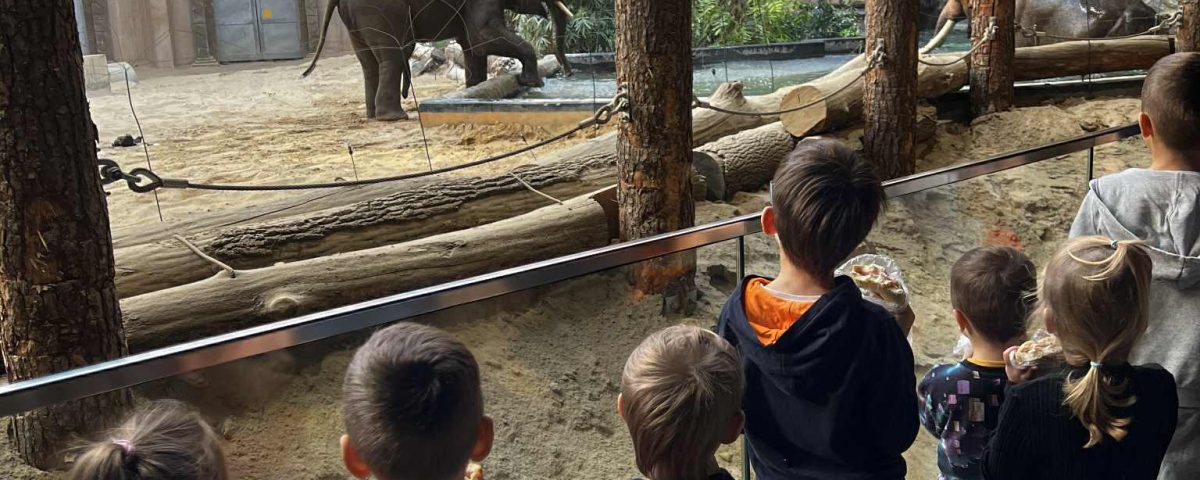 3916299a-b542-4122-aff1-a873bfc40986