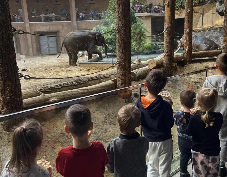 3916299a-b542-4122-aff1-a873bfc40986