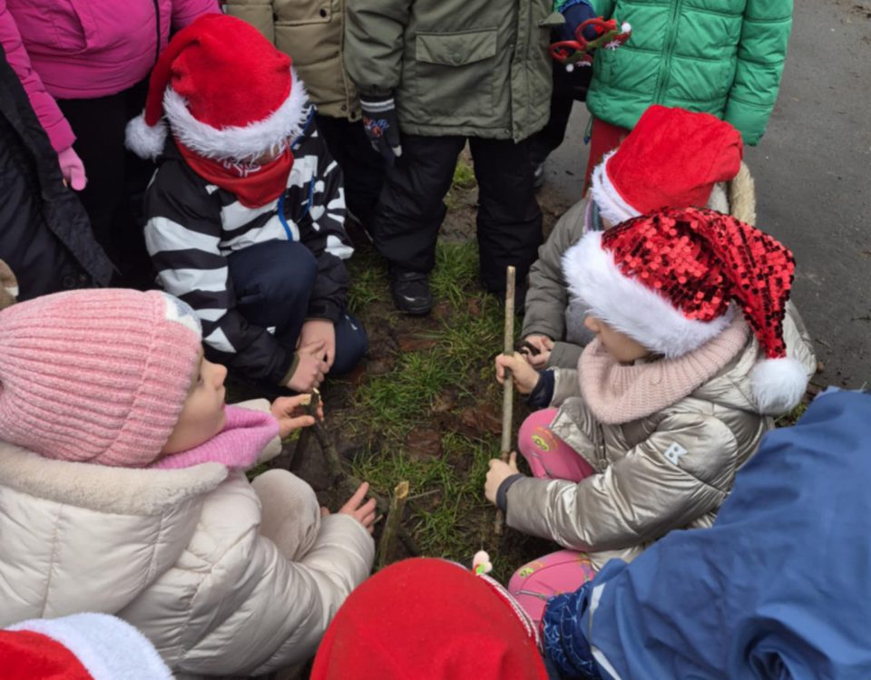 6323ef3d-9019-48ef-9e99-a361410bfc16