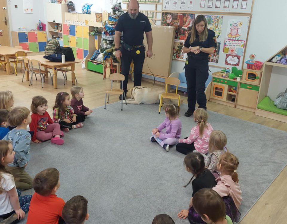 28205c23-8de5-4627-9c29-c65b83dab846