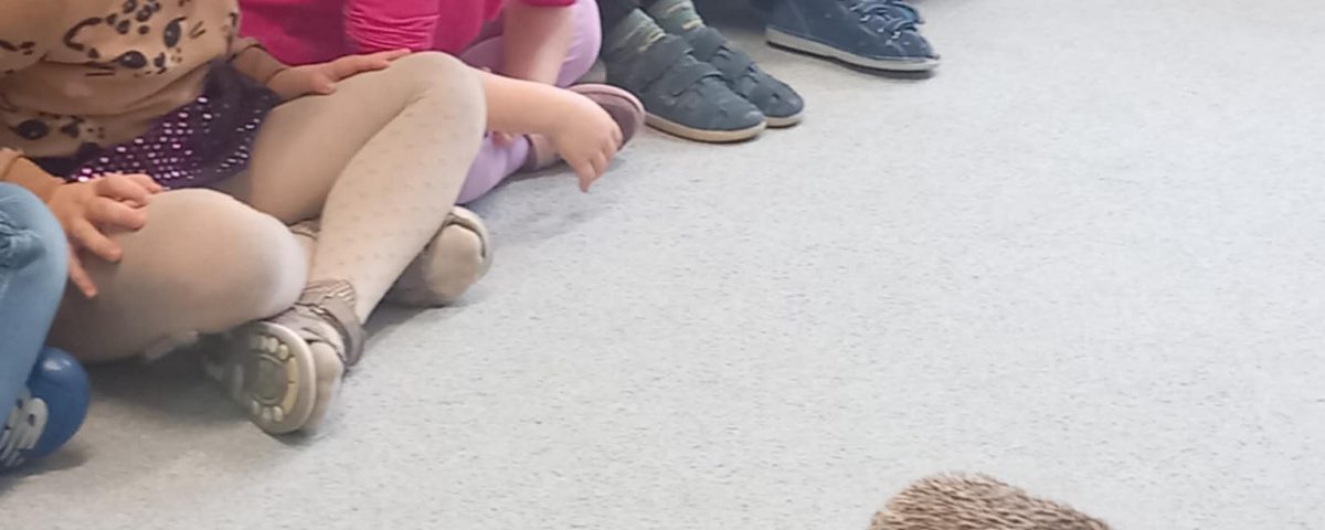 29abd7c8-9ed3-48b4-9887-60ed5af93402