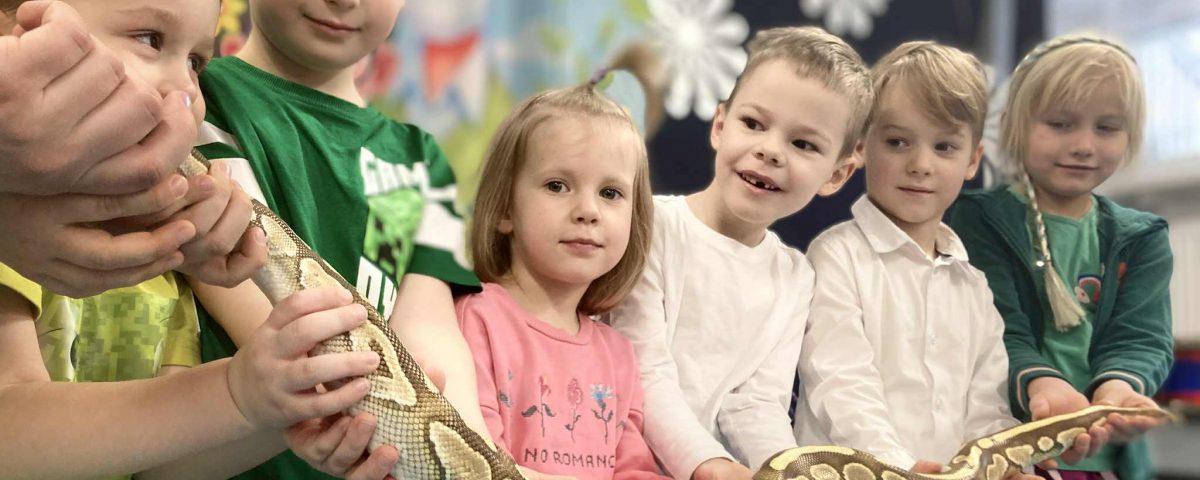 959f07a5-e068-4880-89ef-e9be67312faa