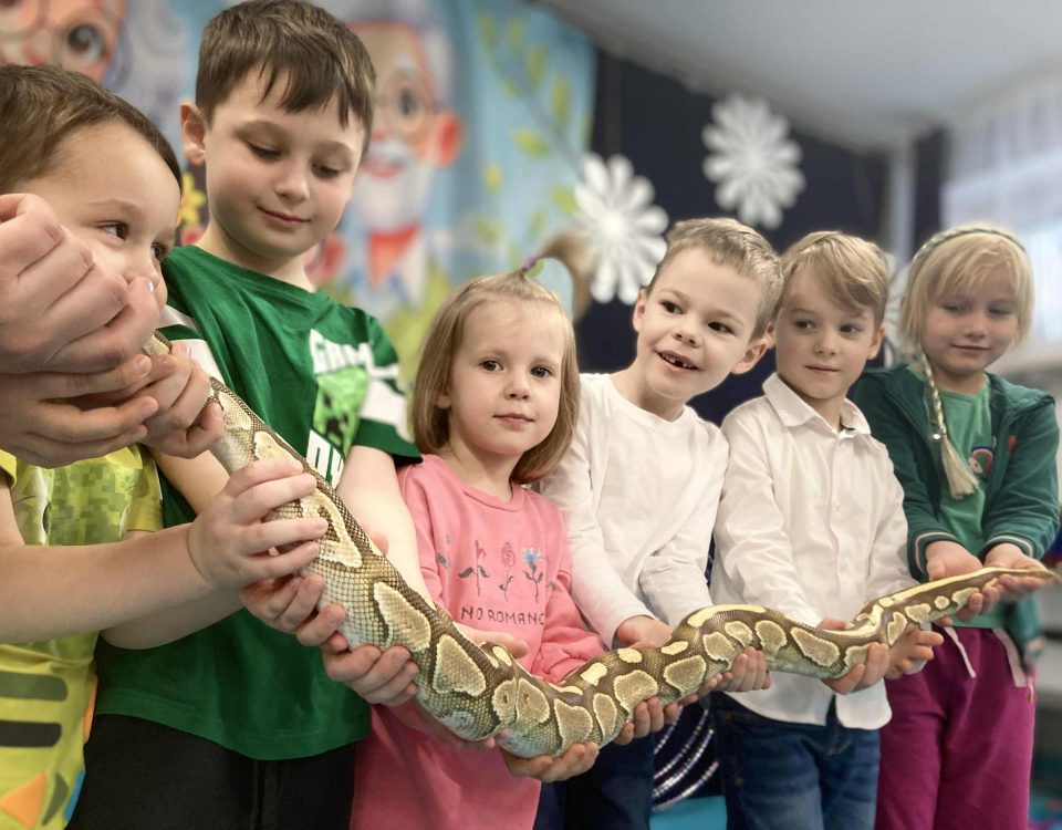 959f07a5-e068-4880-89ef-e9be67312faa